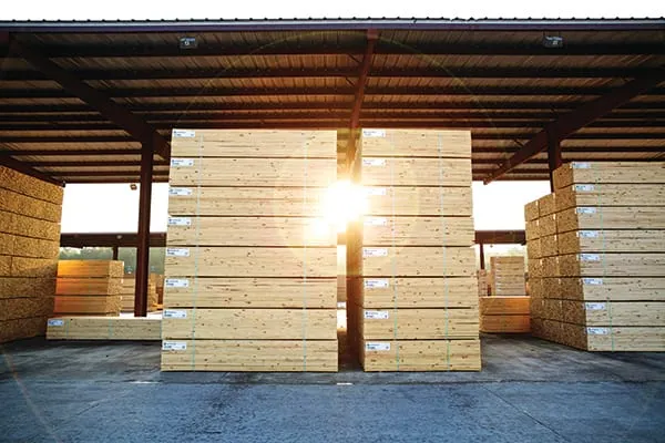 Canadian Producers Settle into Southern Pine