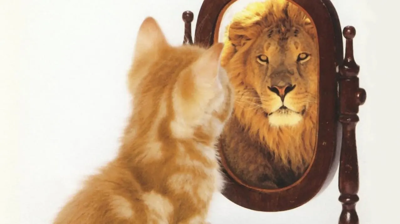 Olsen on Sales: Life Is a Mirror