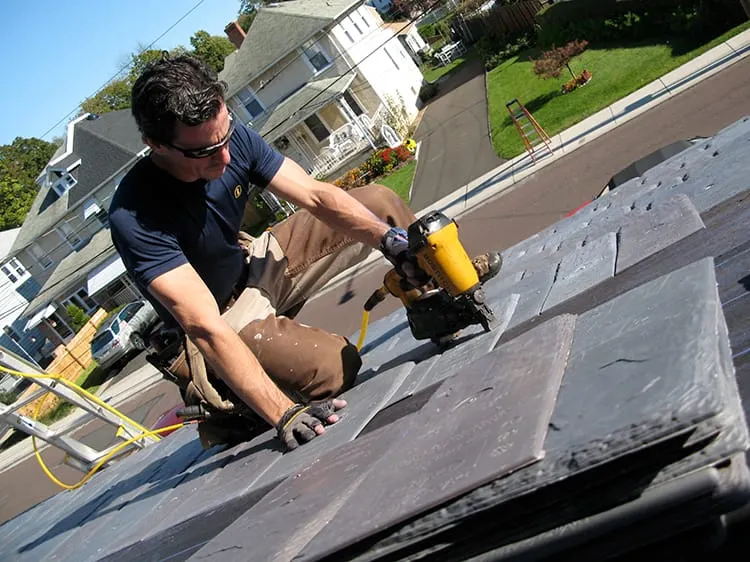 Royal Buys DaVinci Roofscapes