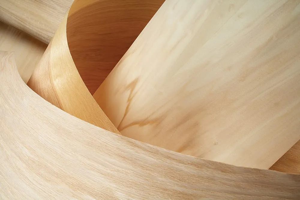 BESSE CLOSING 3 HARDWOOD VENEER/PLYWOOD PLANTS IN WISCONSIN
