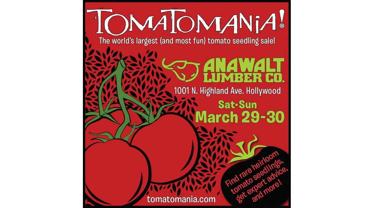 ANAWALT CULTIVATES TOMATO LOVERS