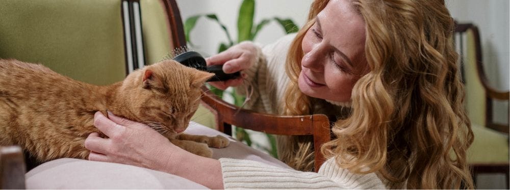 Femme brossant un chat roux allongé.