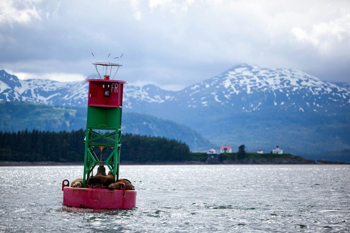 Bootlegging Case in Alaska Clarifies Excessive Fines Clause
