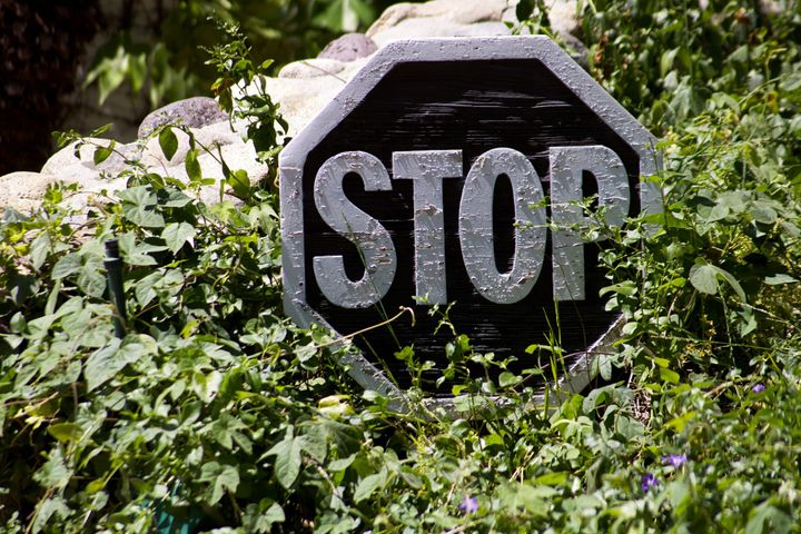 Indiana Supreme Court Weighs Duty of Care in Overgrown Bush Case