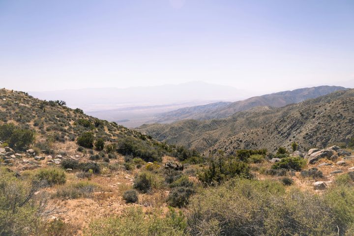California Court Strikes Down State Wildfire Plan Over Environmental Review Failures