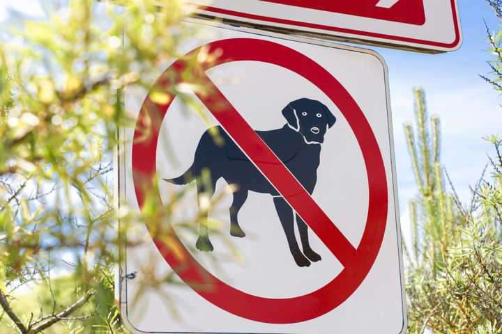 Aspen Condo Dispute Over Emotional Support Dog Heads Back to Court