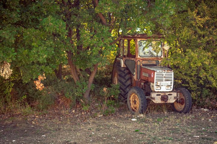 California’s New Farmworker Union Law Upheld After Court Tosses Challenge