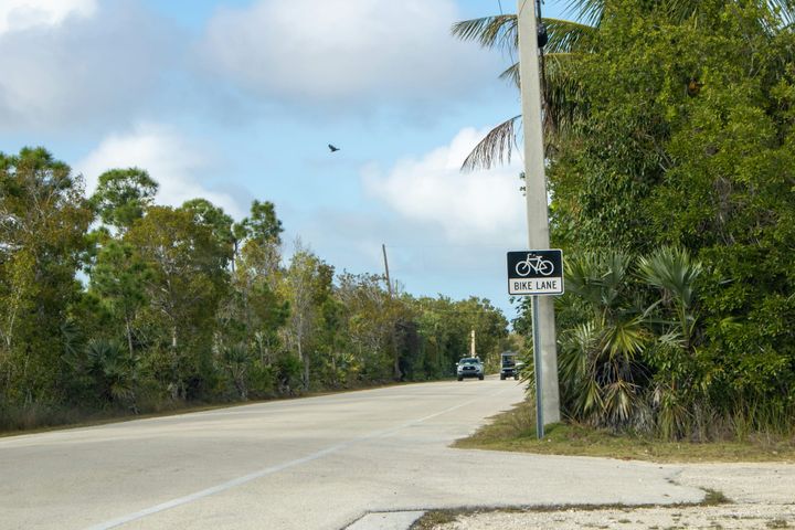 Florida Detective Sues Over Alleged Wrongful Arrest in Traffic Stop