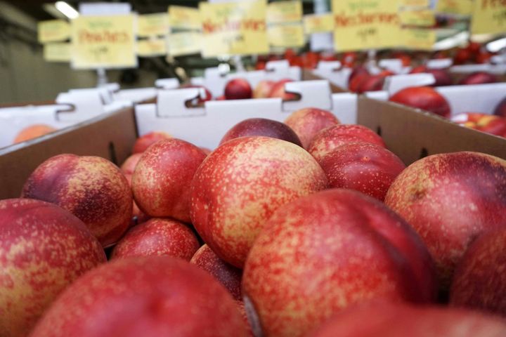 Reedley Farmer's Nectarine Fight Goes to Fresno Jury as Public Rallies Behind Him