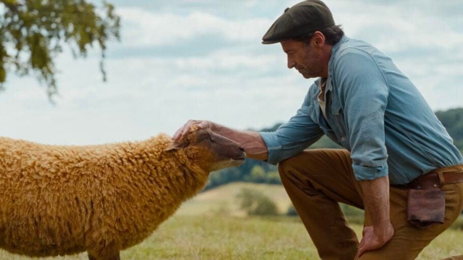 Nobody asks what the sheep remember.