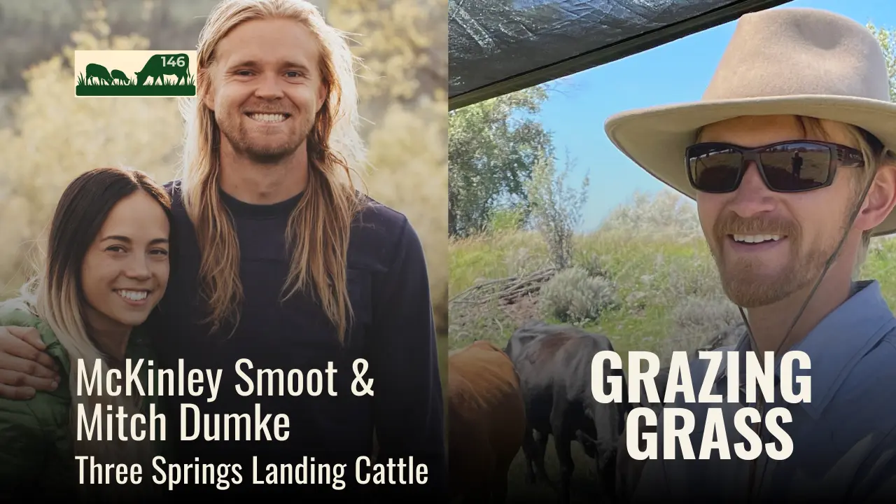 146 | McKinley Smoot & Mitch Dumke, Three Springs Landing Cattle