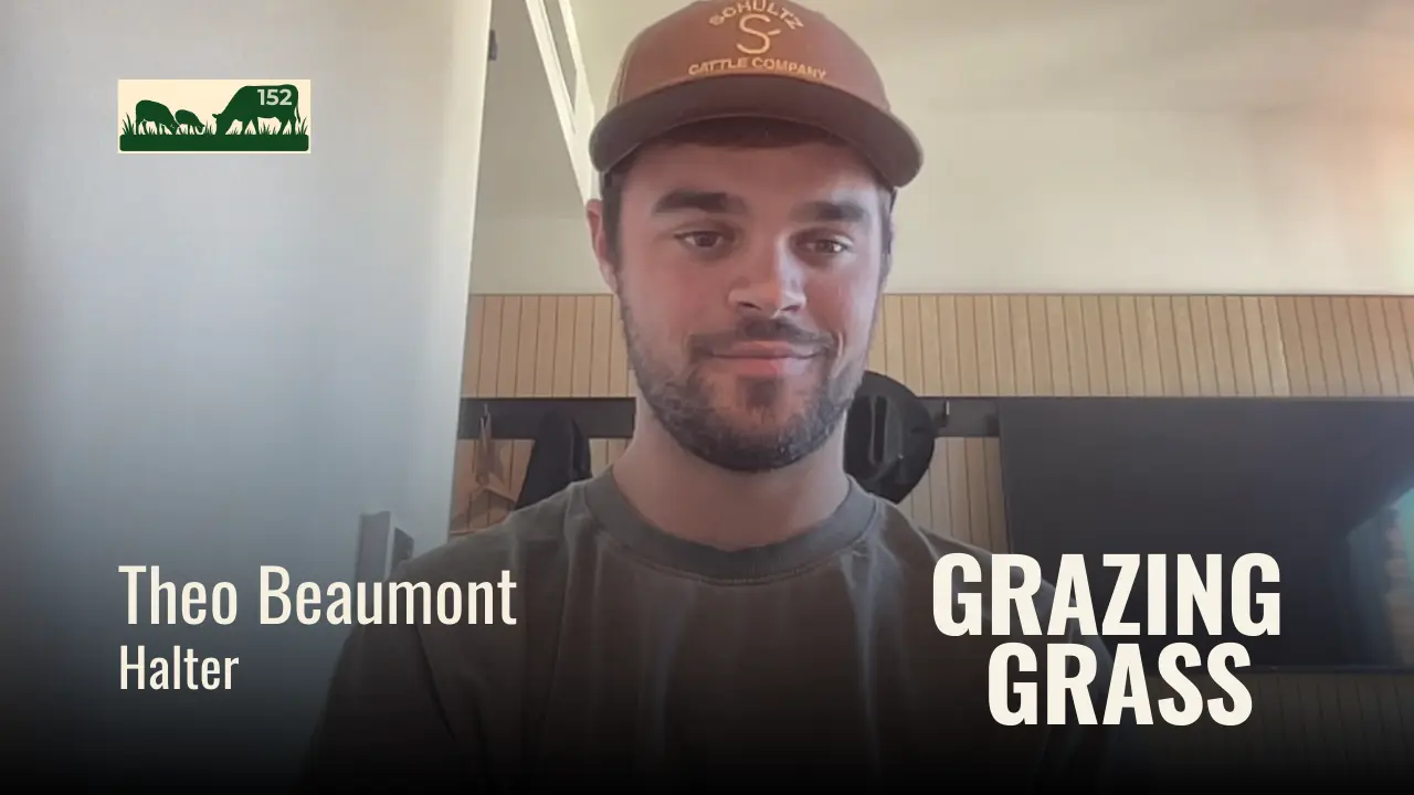 152 | Theo Beaumont, Halter