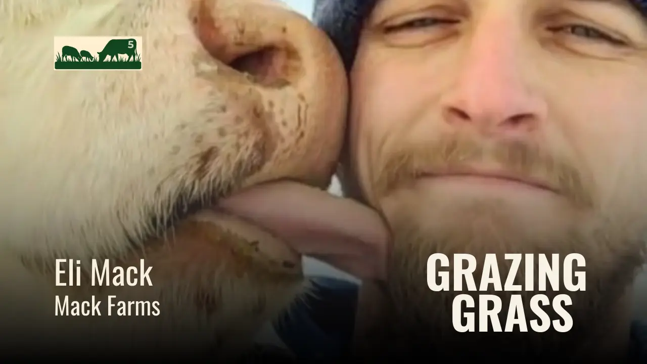 e5. Holistic Journey with Multiple Livestock Species