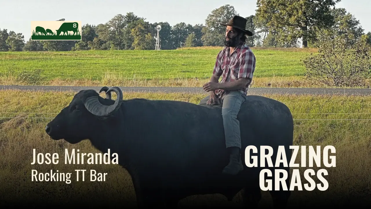 e8. Grazing and Milking Water Buffalo in Colorado