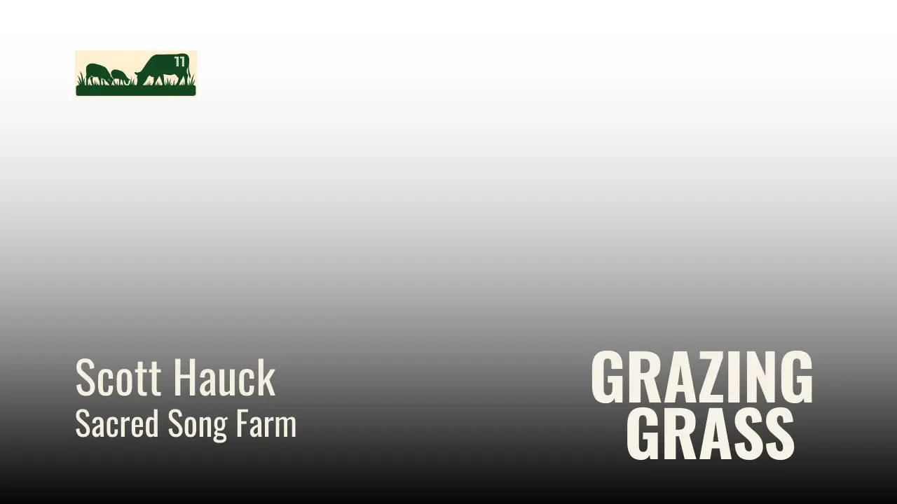 e11. Raising Hogs in the Woods While Grazing Grass with a Flerd