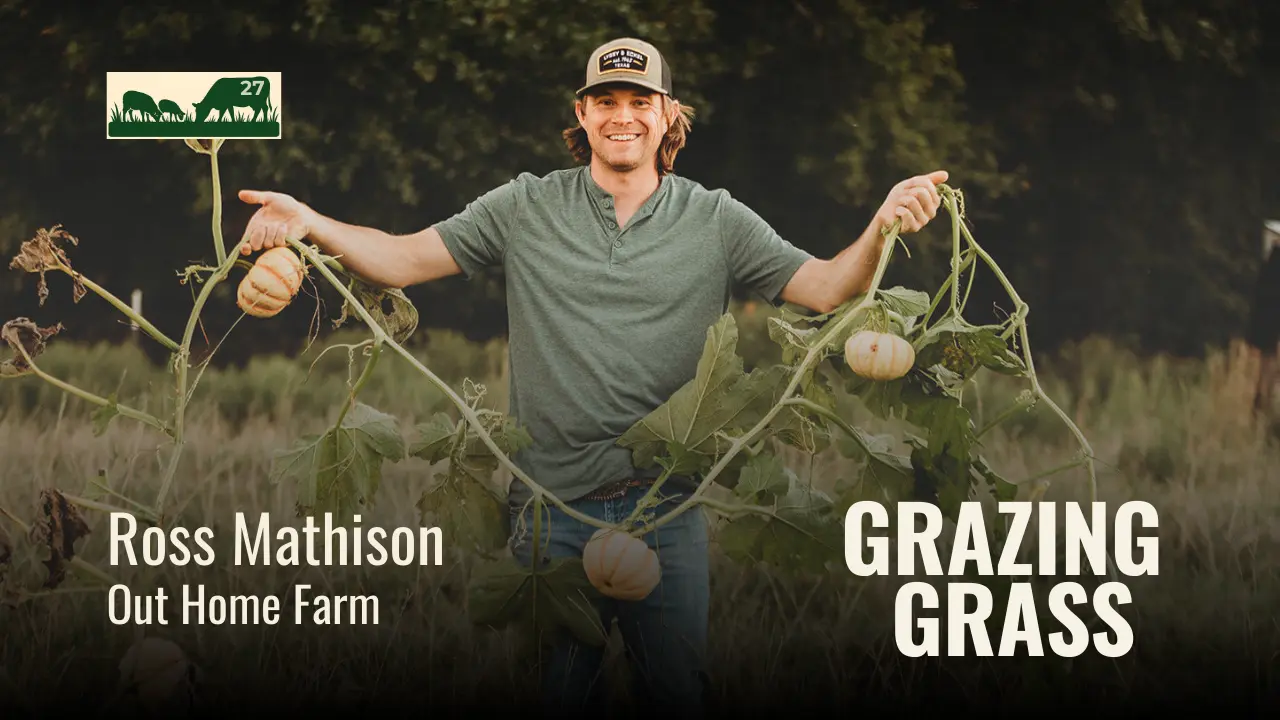 e27. Ross Mathison - Craigslist Ad Gone Bad