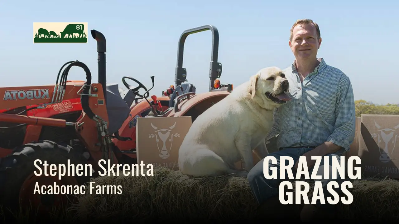 e81. Ranching in Long Island with Stephen Skrenta