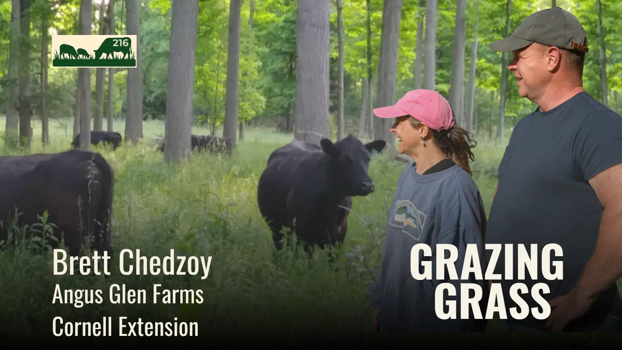 216 | Brett Chedzoy, New York | How to Turn Existing Woodland into Productive Grazing