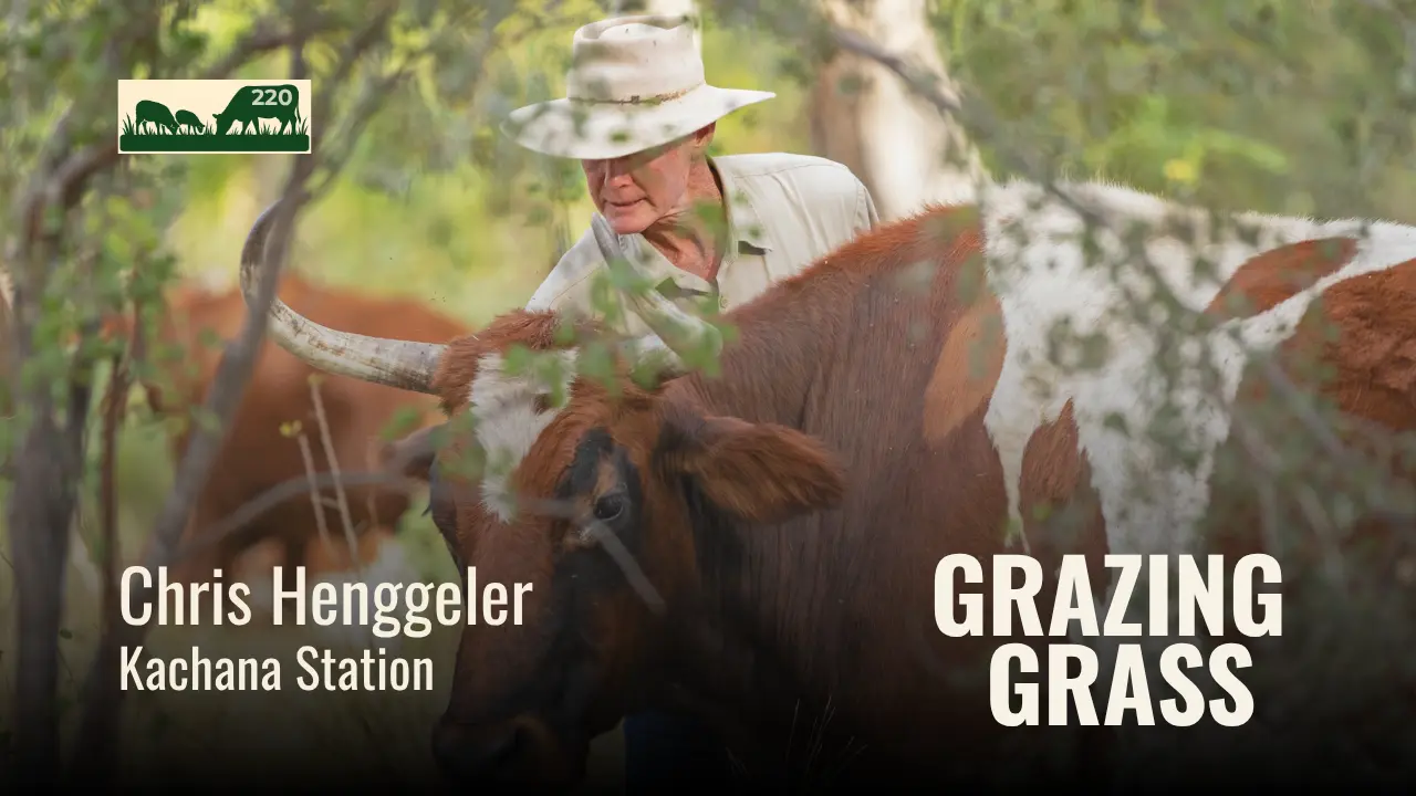 202 | Rebuilding Your Asset Base: Turning Sunshine Into Profit with Chris Henggeler