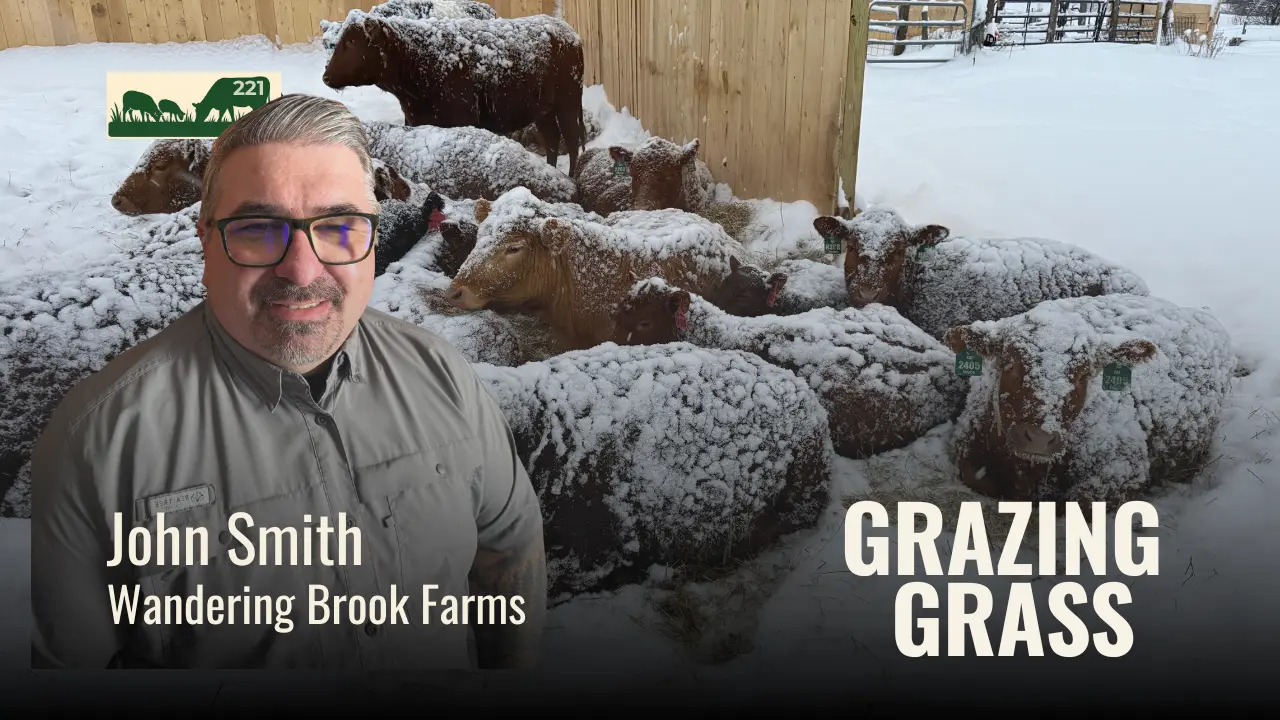 221 | Grazing Cattle in Vermont: Can a Southern Breed Thrive Up North?