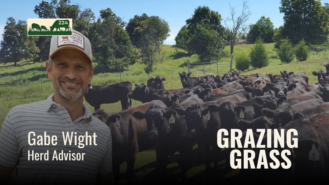 224 | From Flashlight Farmer to Profit Driven Grazing with Gabe Wight