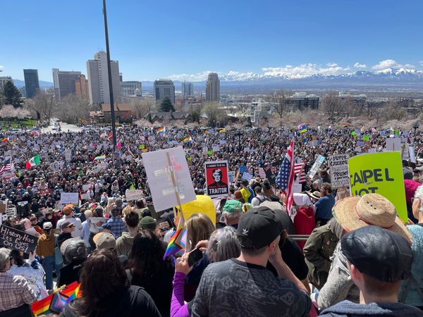 A diversity of tactics