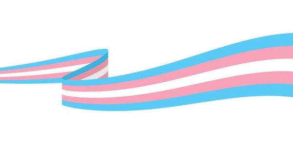 Check on your trans friends