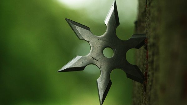 Mi primera experiencia con los ninjas del software.