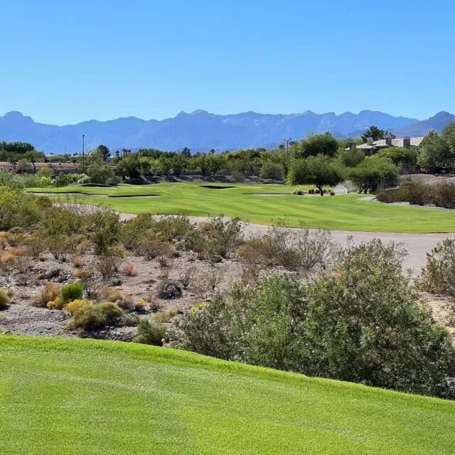 Pre-IBS Golf Scramble To Benefit HBI