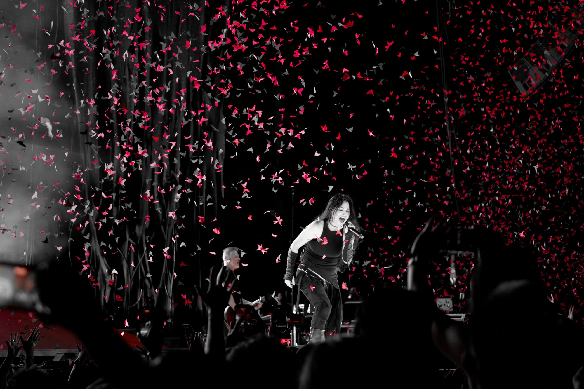 Amy Lee surrounded with red and black butterfly-shaped confetti. The photo, outside of the red confetti, is black and white. Lee is standing singing passionately into the microphone in the middle of the stage, surrounded by fans.