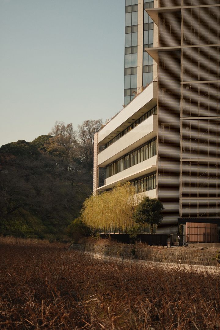 Tokyo December walks