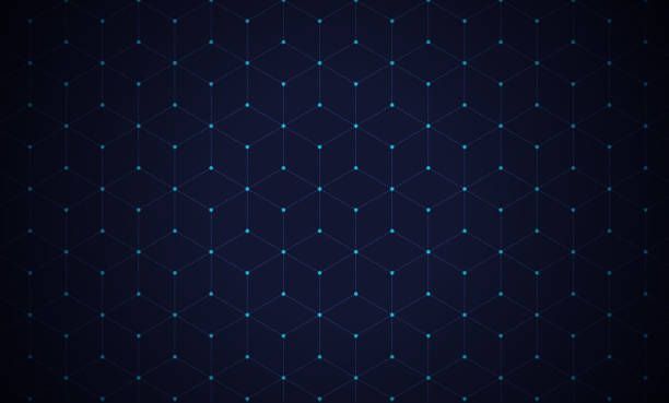 Digital Assets report 81