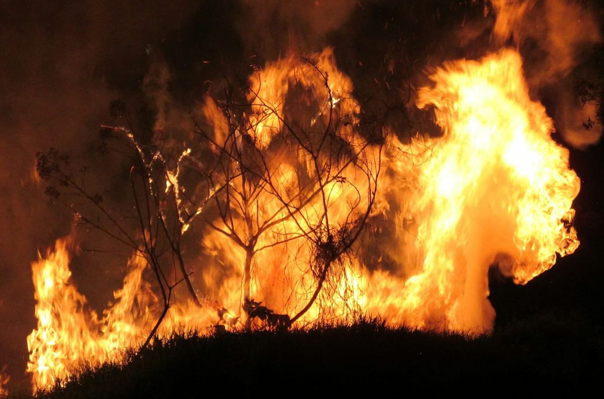 Walker County's Congressional primary candidates lit $10 million on fire