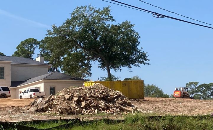 Lone tree standing at 22nd St. clearcut has survivor's guilt