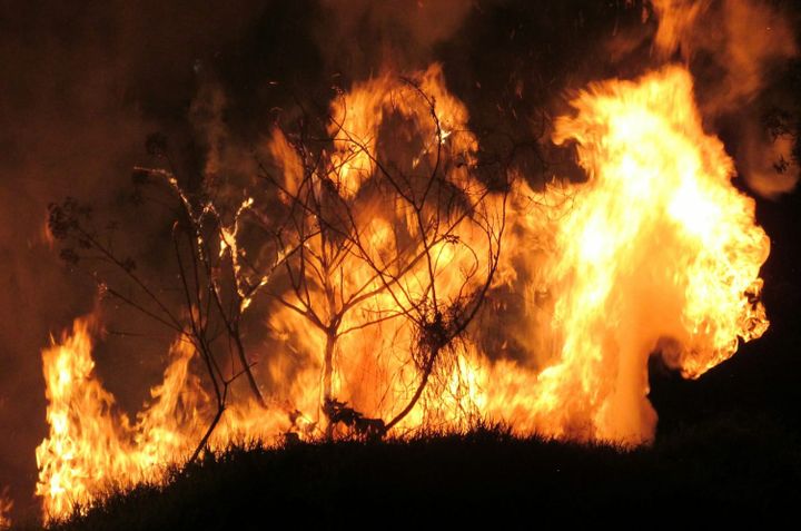 Walker County's Congressional primary candidates lit $10 million on fire