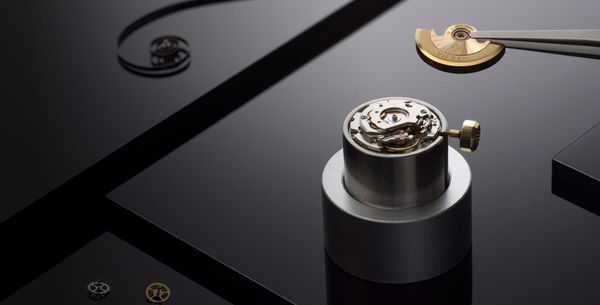 The Eco-Watch Report