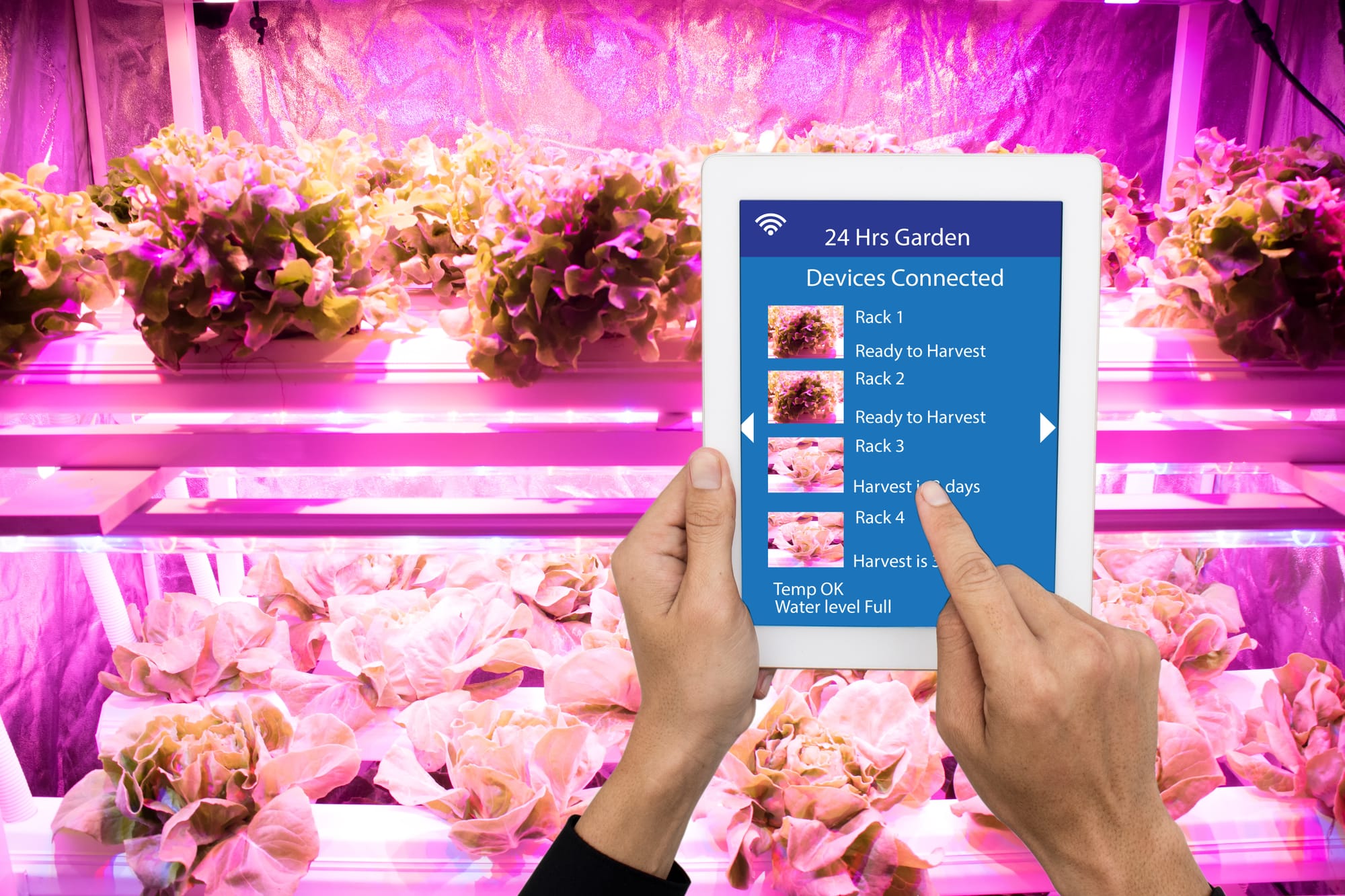 How to Automate Lighting, Irrigation and Fertigation in CEA