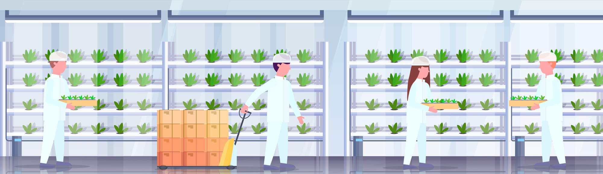 Long Read: Challenges and Opportunities for Vertical Farming