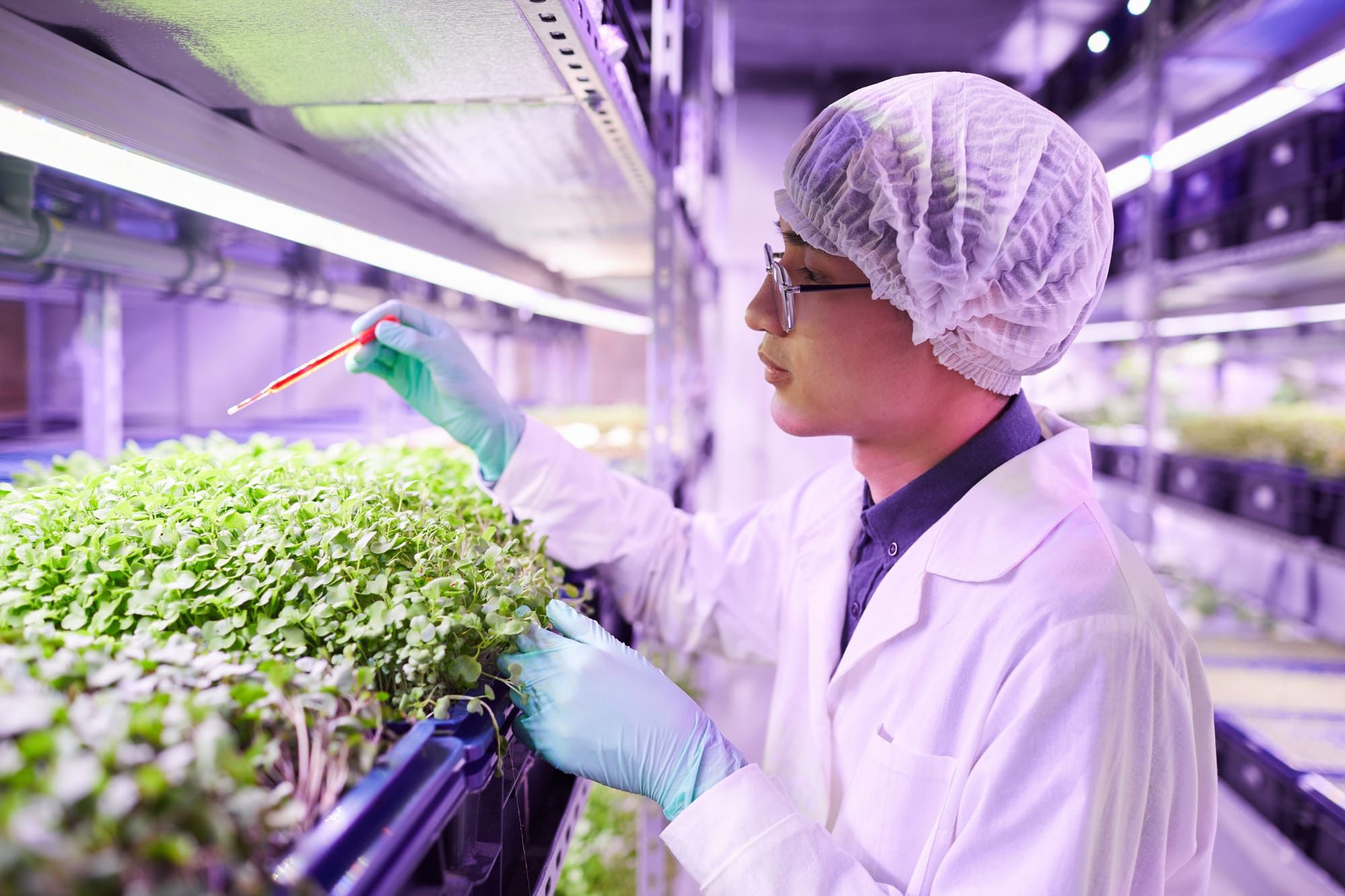 How can Vertical Farming Aid Food Security During a Global Food Crisis?