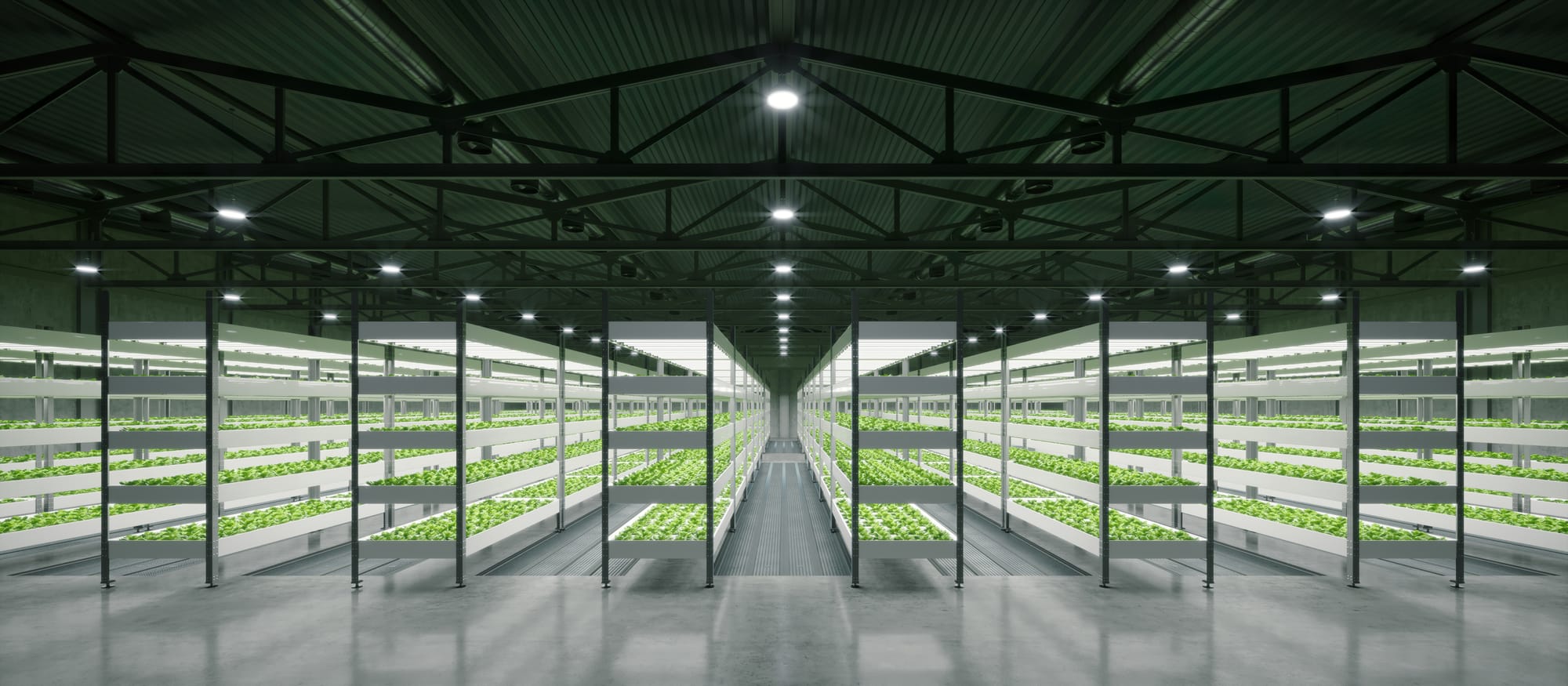Long Read: Growing Pharmaceutical Plants in Vertical Farms