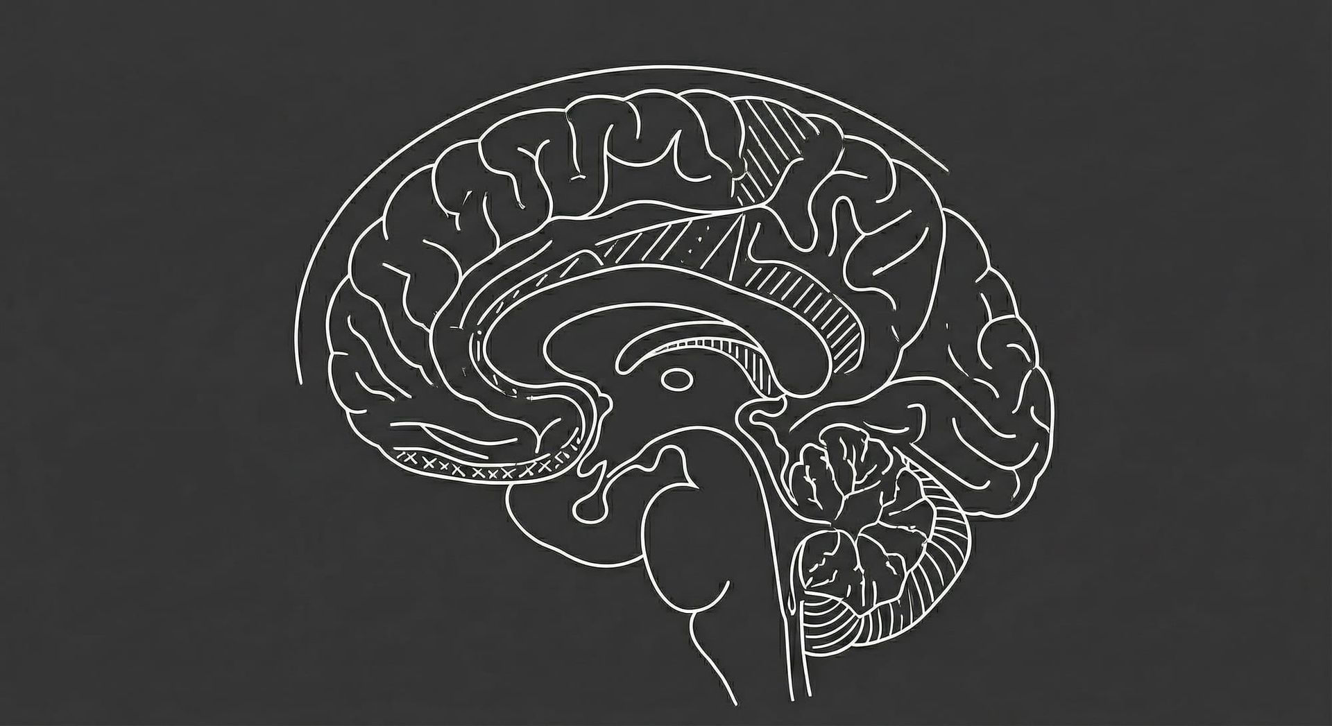 Dunbar’s Number: The Physics of Trust