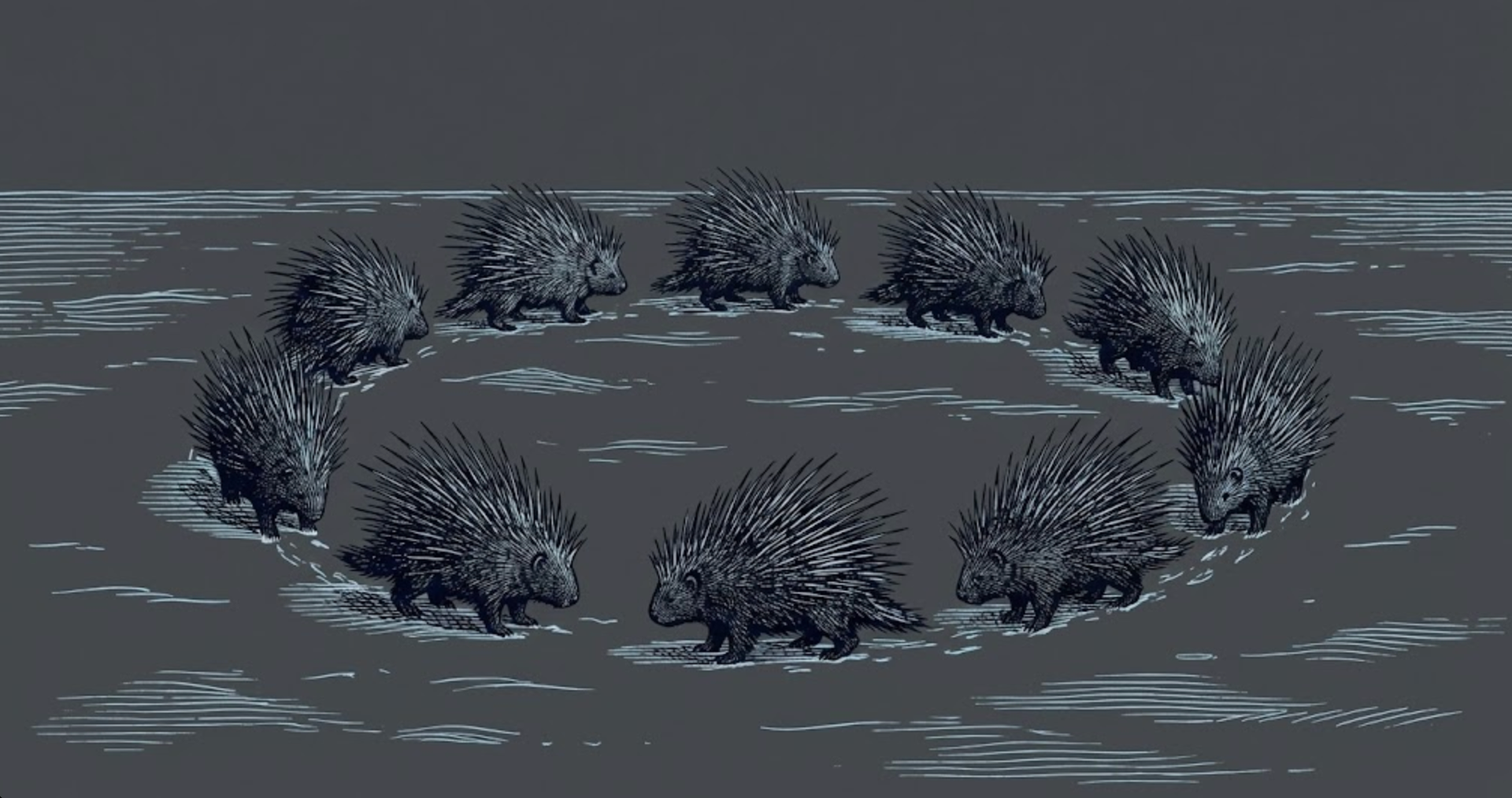 The Porcupine Dilemma: The Art of Corporate Distance