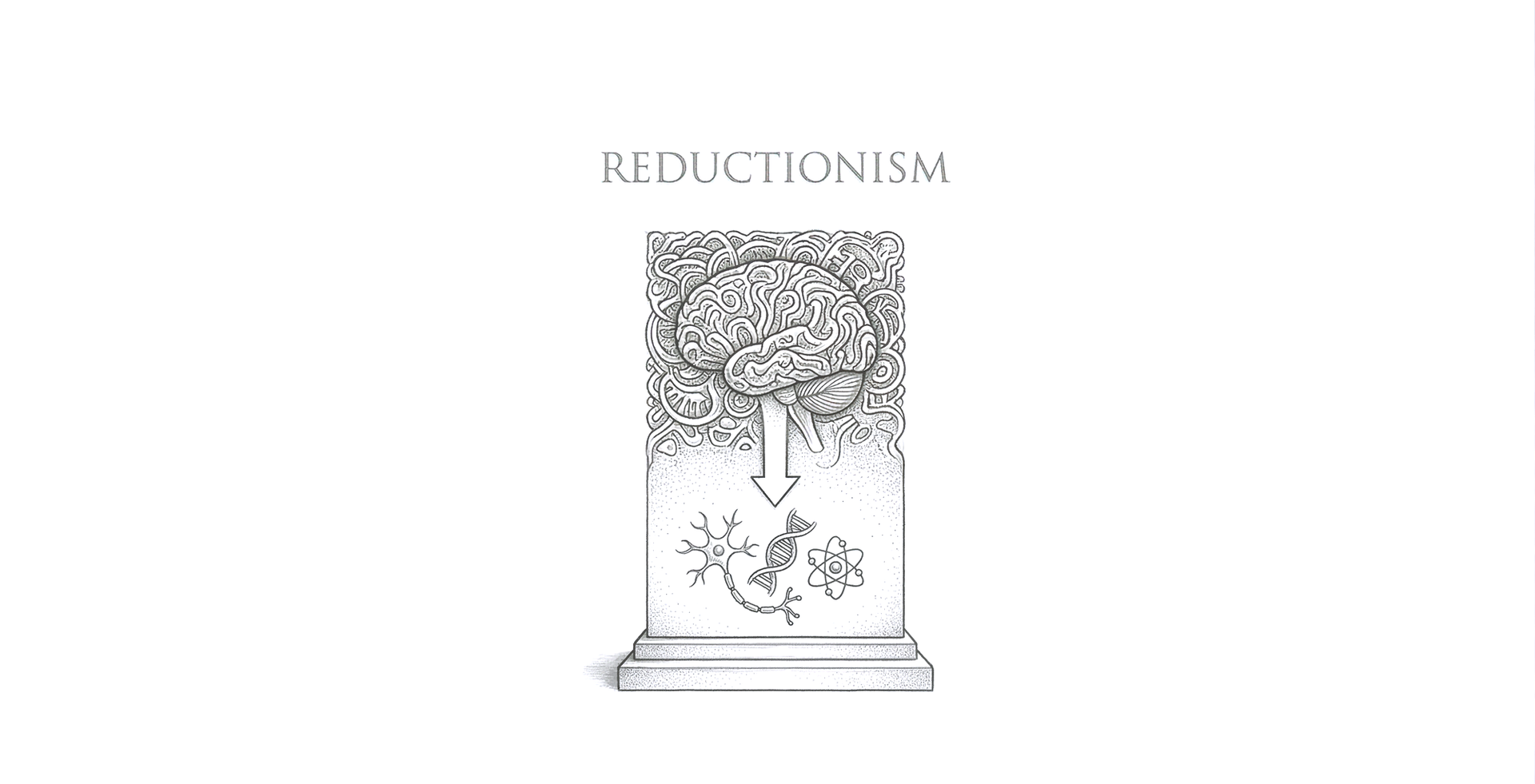 Lexicon: Reductionism