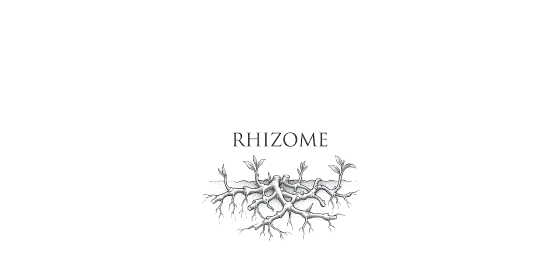Rhizome (Decentralized Network)