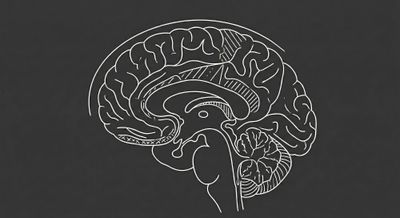 Dunbar’s Number: The Physics of Trust