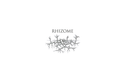 Rhizome (Decentralized Network)