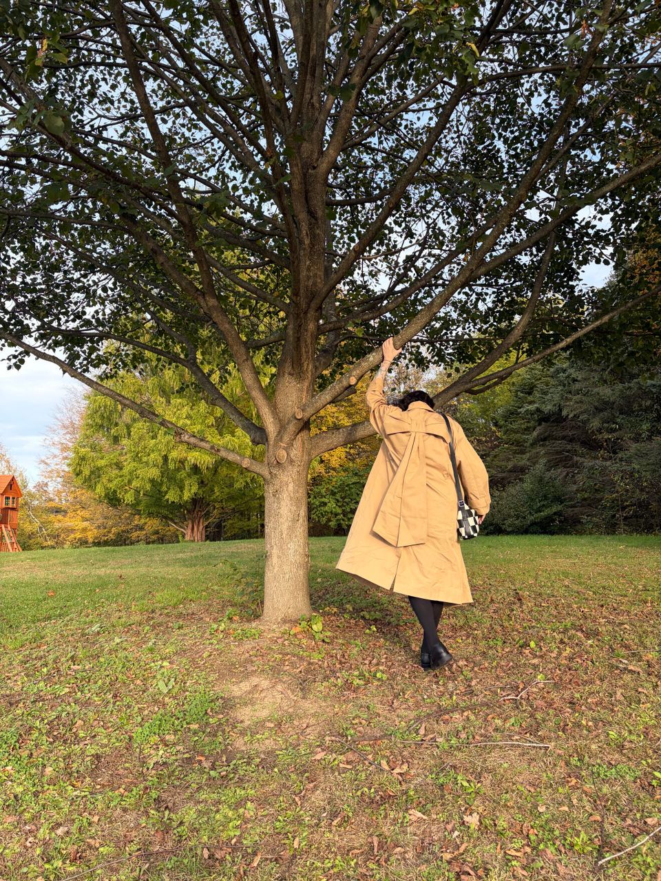 Everything I Was Doing Instead of Writing This Newsletter