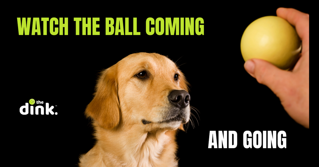                                         Watching the Ball Coming and Going – Up Your Game
                                    