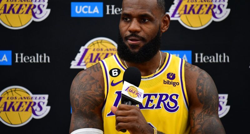                                         Lebron James Buys Major League Pickleball Team – News
                                    