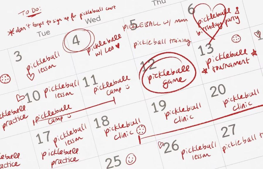                                         Newsletter: Pickleball Derangement Syndrome – Newsletter
                                    